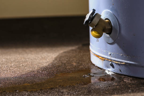 Best Water damage restoration specialists  in Soh Willard, UT