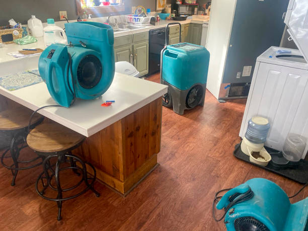 Best Water damage cleanup near me  in Soh Willard, UT