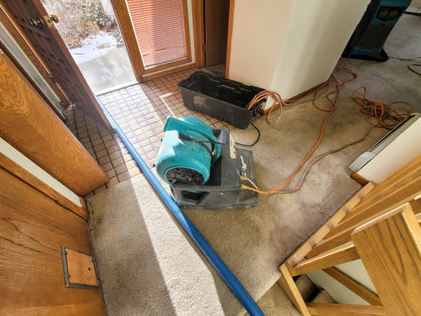 Best Flooded house restoration  in Soh Willard, UT