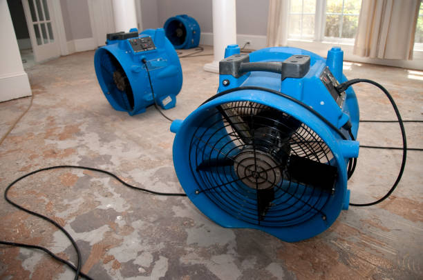 Best 24/7 water damage repair  in Soh Willard, UT