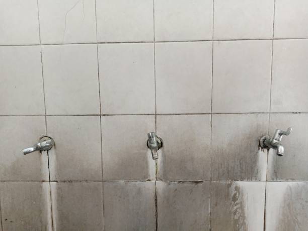  Soh Willard, UT Water damage restoration Pros