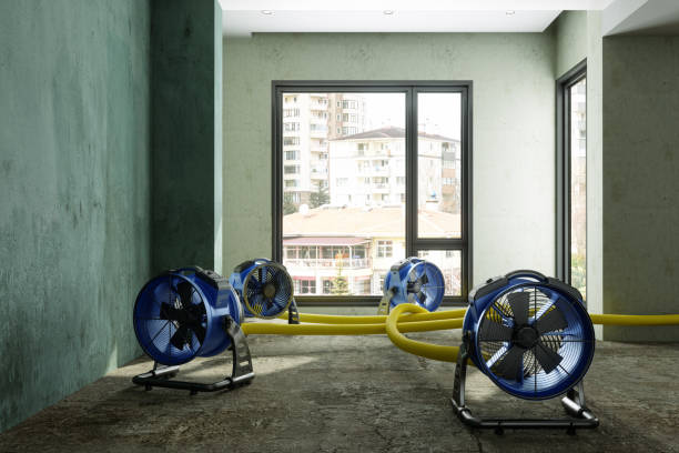 Best Fire Damage Restoration  in Soh Willard, UT