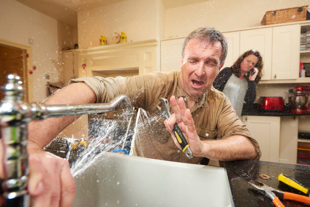Best Water damage restoration insurance claims  in Soh Willard, UT